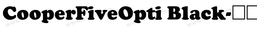 CooperFiveOpti Black字体转换